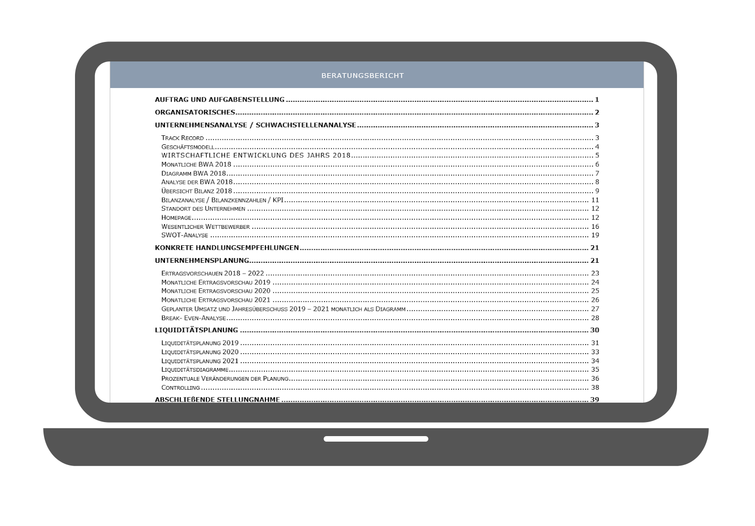 Controllingsoftware für Berater